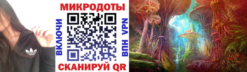 хочу наркоту  Уяр  Псилоцибиновые грибы Cubensis 